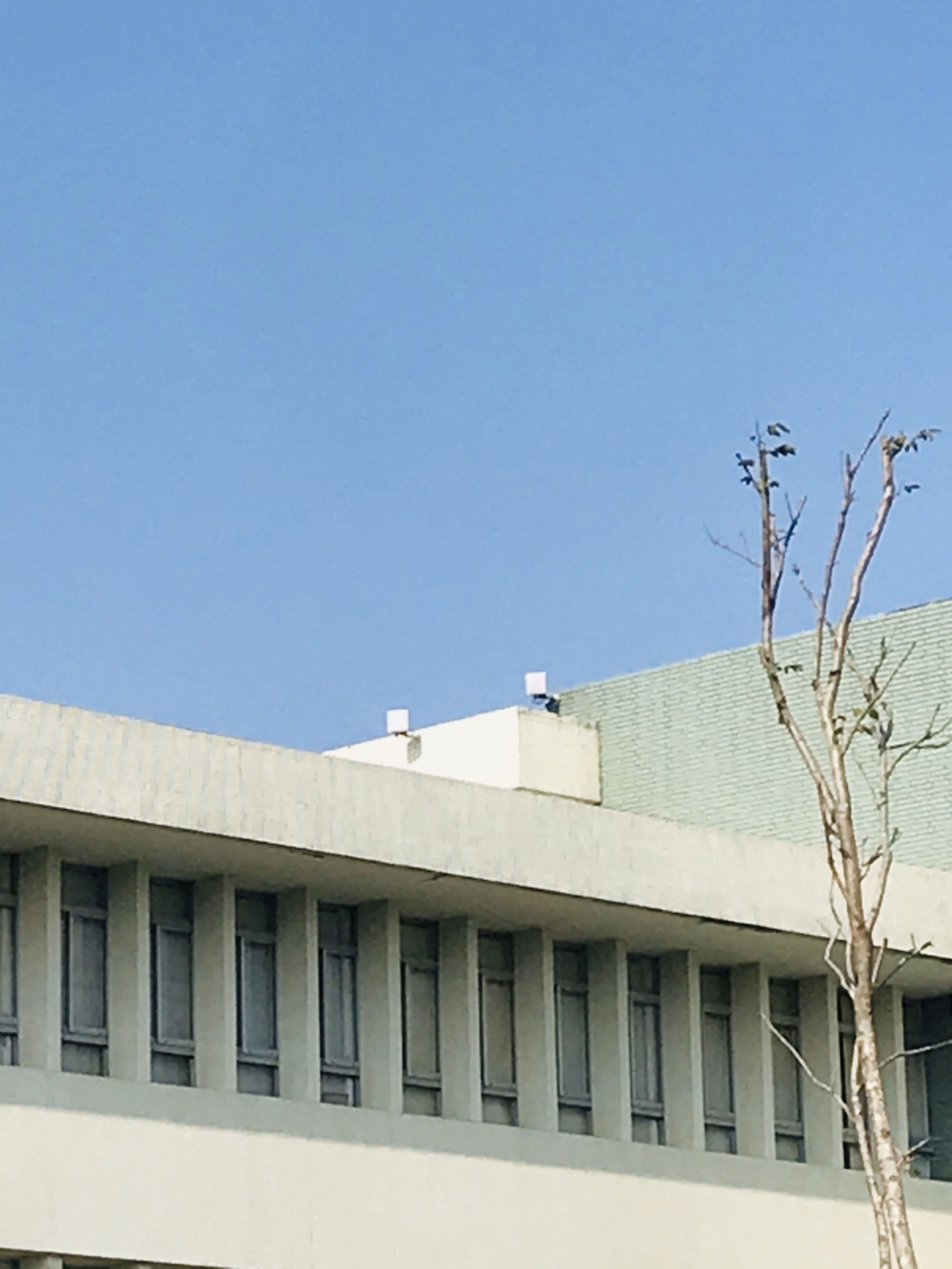 台南善化_亞洲蔬菜發展中心監控案