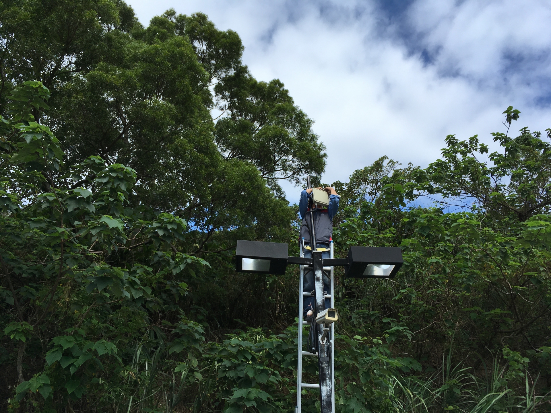 桃園龜山_銘傳大學校園監控