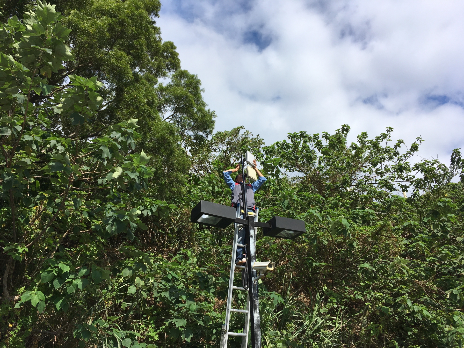 桃園龜山_銘傳大學校園監控