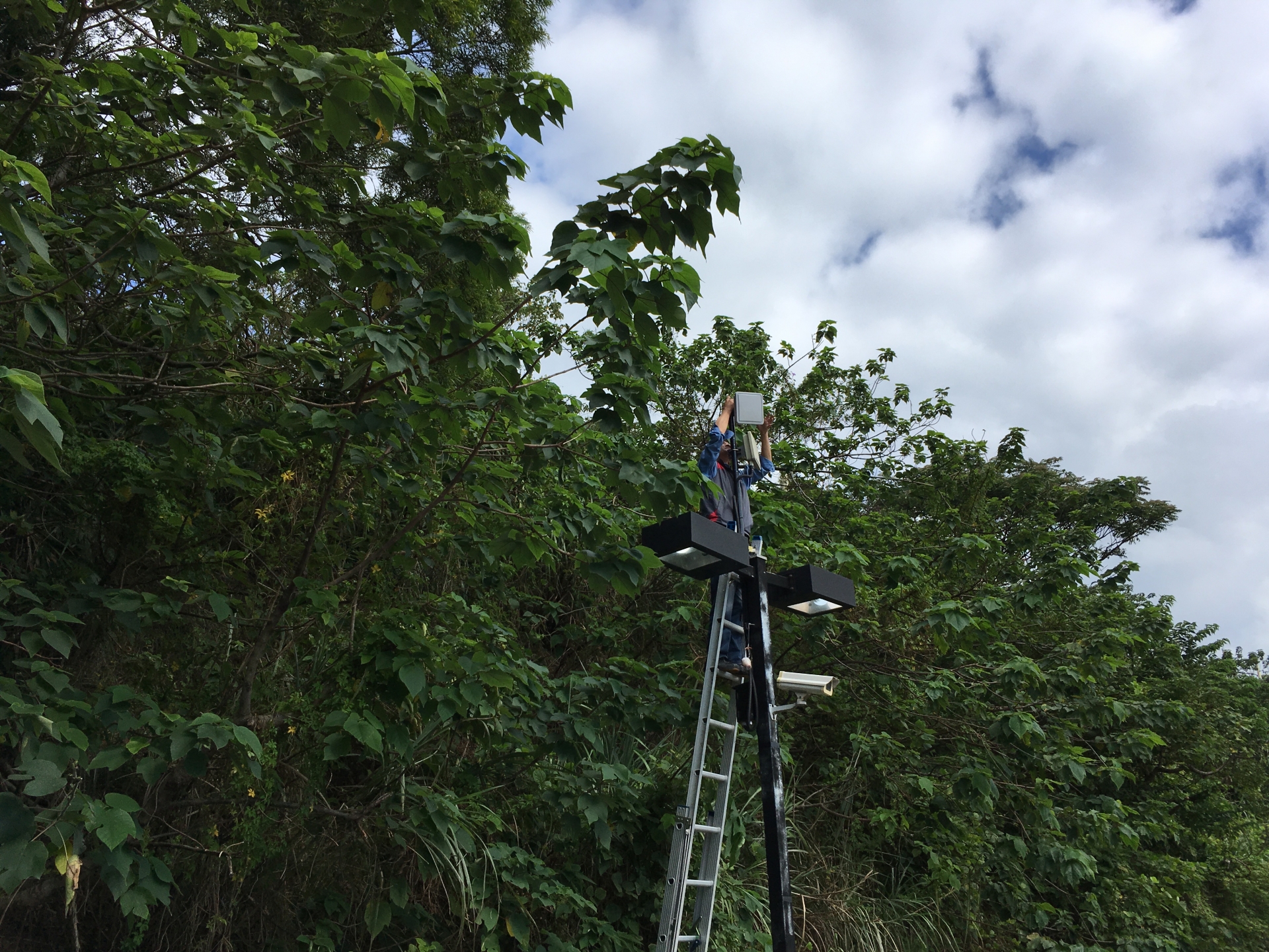 桃園龜山_銘傳大學校園監控