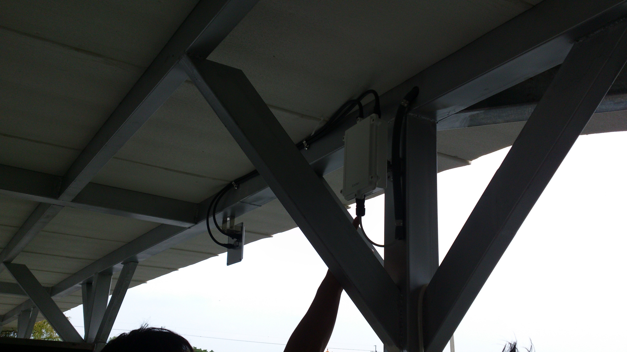 宜蘭-勝洋水草休息農場