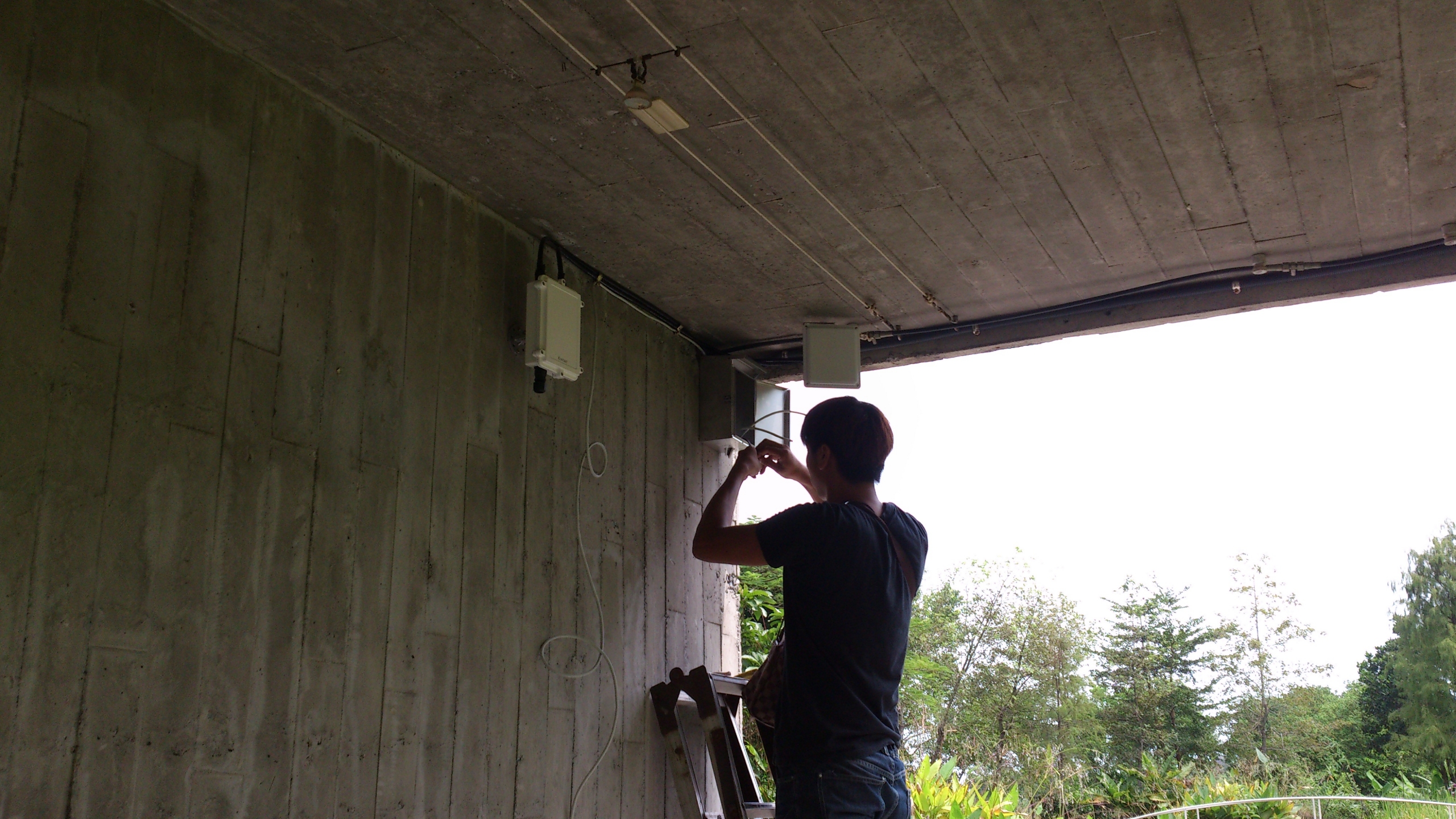 宜蘭-勝洋水草休息農場